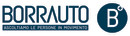 Logo Borrauto Srl
